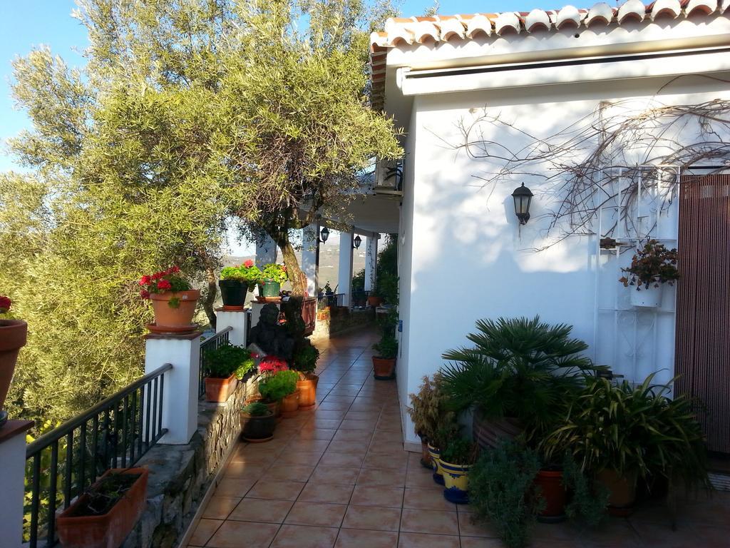 Villa Andalucia Competa Room photo